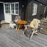 Annebu By Norgesbooking - At 1000 Meter With Amazing View Feriehus